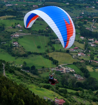 Windtech Honey-3