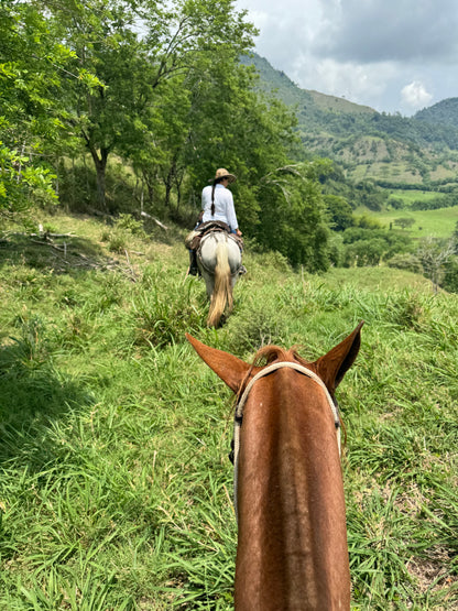 Rundresa Colombia