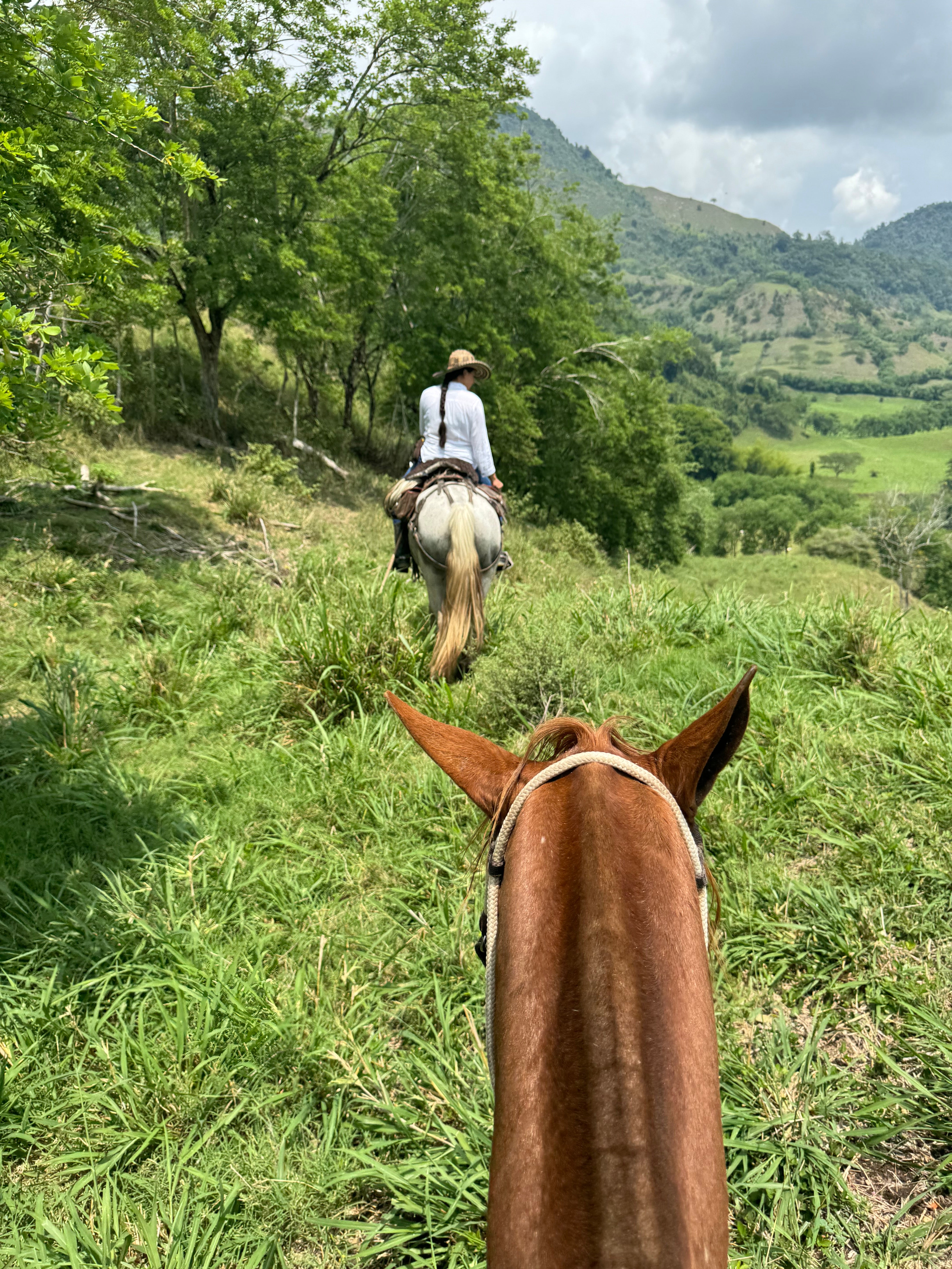 Rundresa Colombia